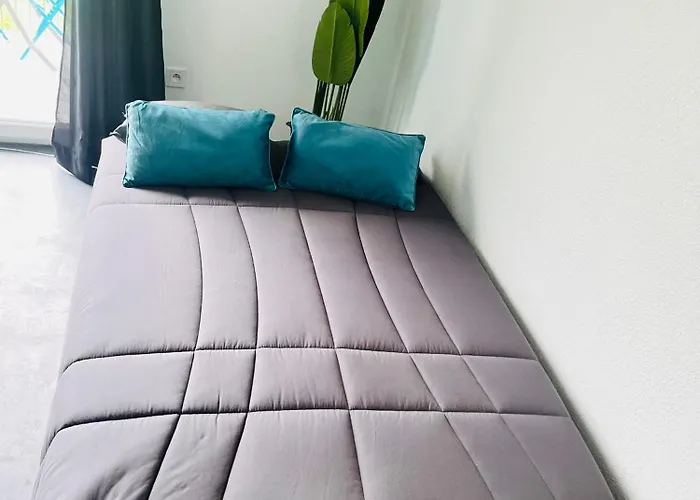 Apartamento Le Cosy Euronord •clim•parking • Bruguieres